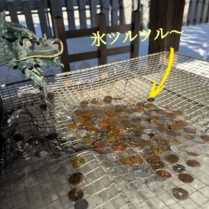 冬が教えてくれる、あたたかさ